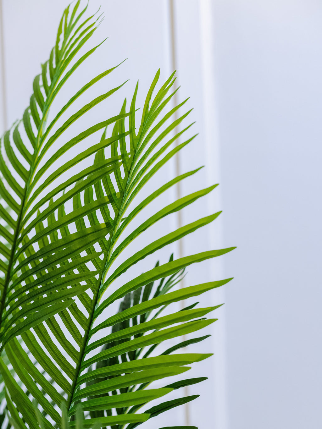 Lifelike Green Fronds of Areca Palm Plant
