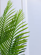 Lifelike Green Fronds of Areca Palm Plant