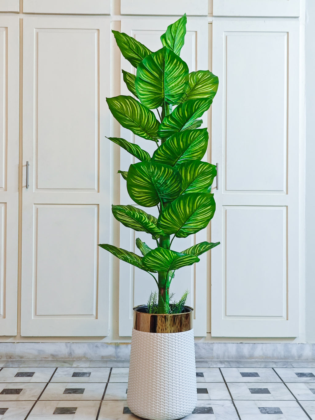 Stylish Artificial Zebra Plant by Home Cuddles