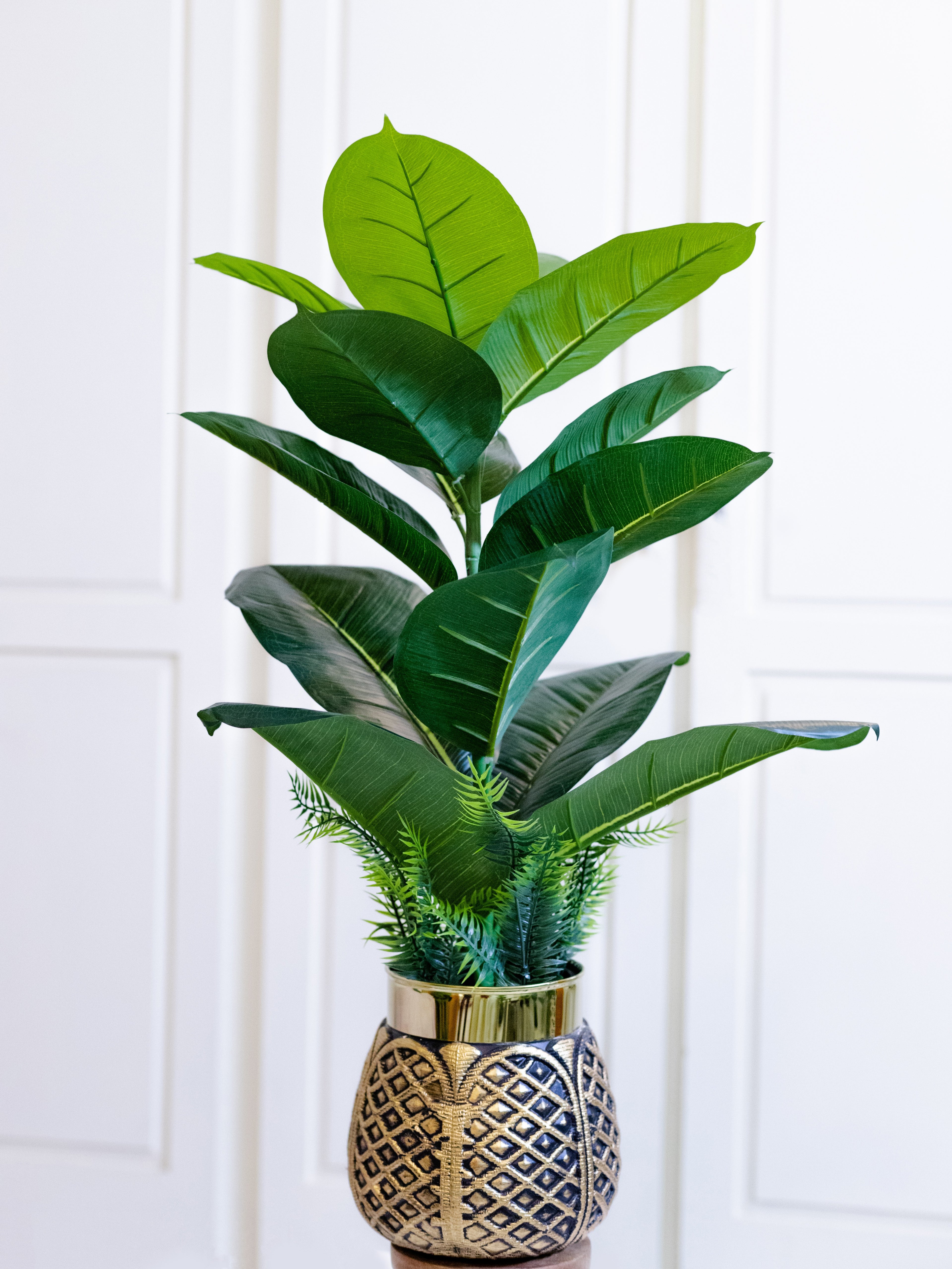 Rubber Plant with Golden-Brown Pot Home Cuddles