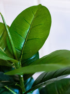 Artificial Rubber Plant for Home Decor