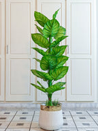 Stylish Artificial Zebra Plant by Home Cuddles