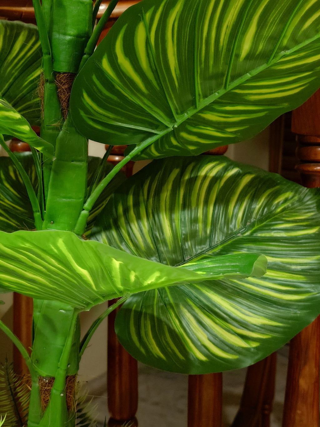 Decorative Faux Zebra Plant on Tabletop