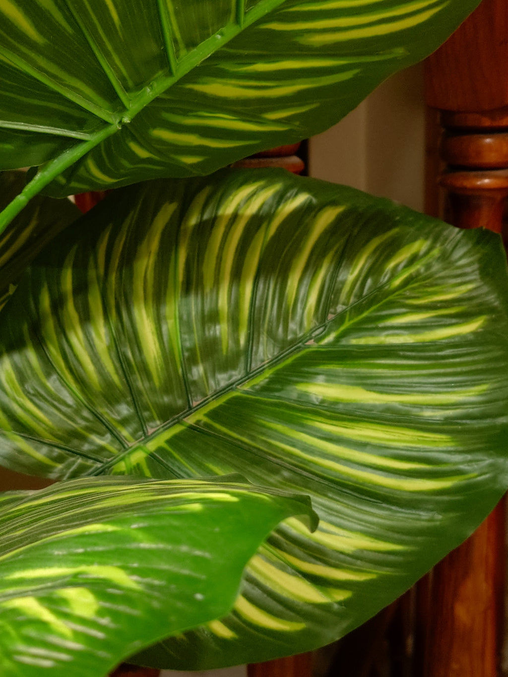 Stylish Artificial Zebra Plant by Home Cuddles