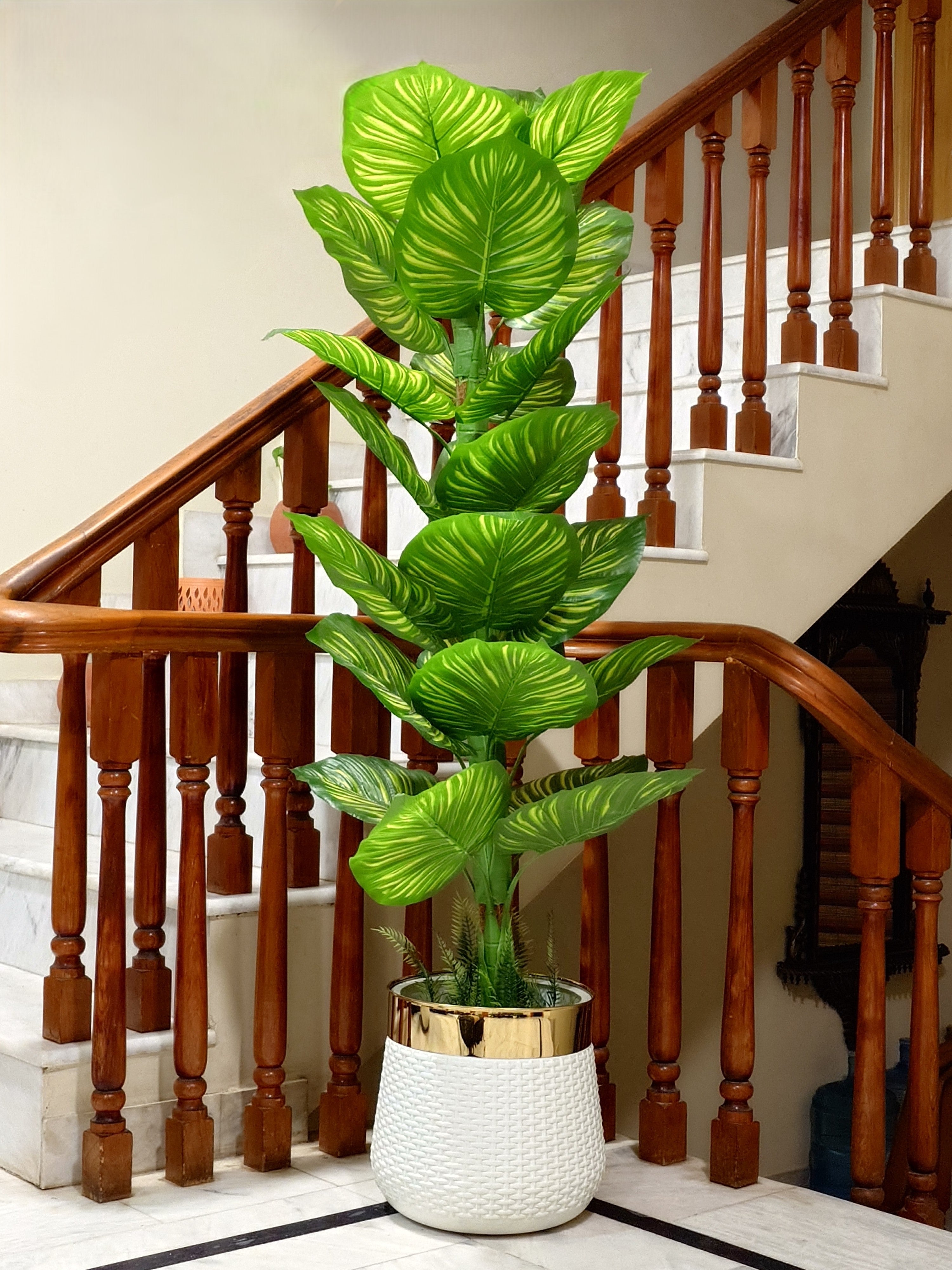 Stylish Artificial Zebra Plant by Home Cuddles