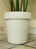 Faux Areca Palm Plant – Elegant Indoor Greenery by Home Cuddles