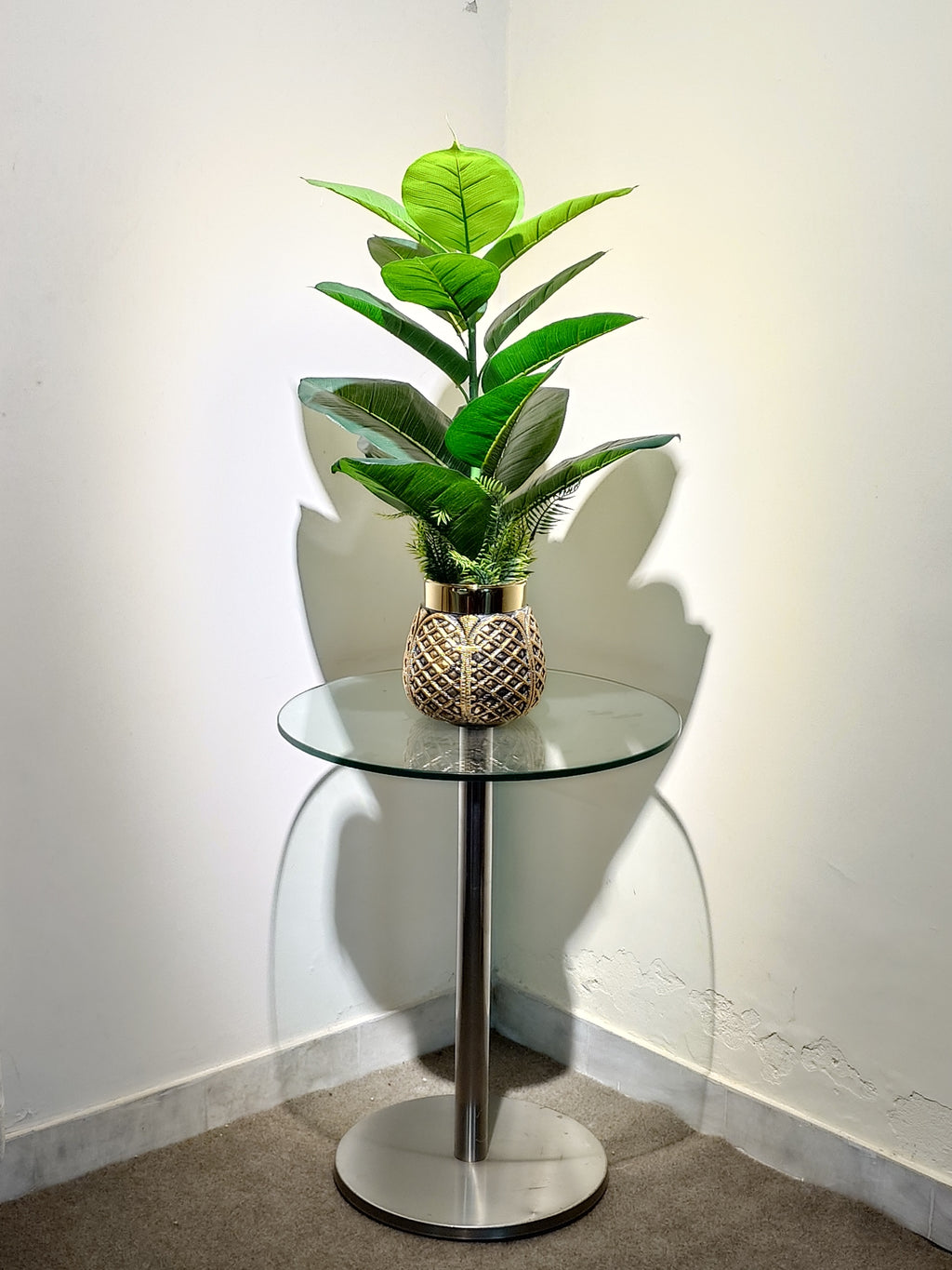 Rubber Plant in Golden-Brown Pot for Office Decor